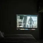 Les Cactus #MaisonSavaron