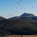 Les Cactus #MaisonSavaron