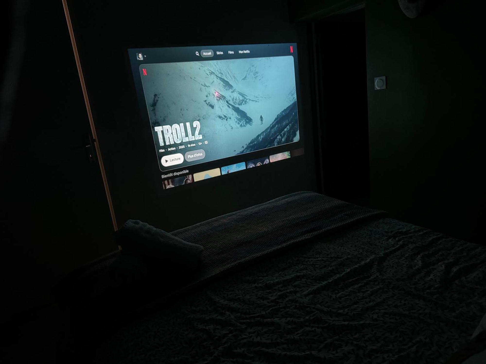 Les Cactus #maisonsavaron * Clermont-Ferrand